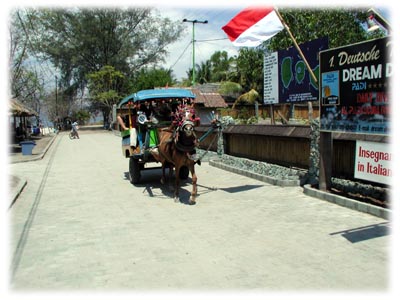 DSC18580.JPG(39.1kb)