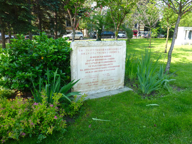 ���{�E�u���K���A�����񕜂S�O���N�L�O��