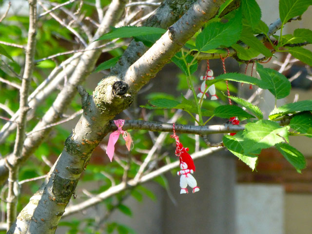 �t��������u���K���A�̕��K