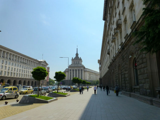 ���ʂɌ�����̂͋����Y�}�{��