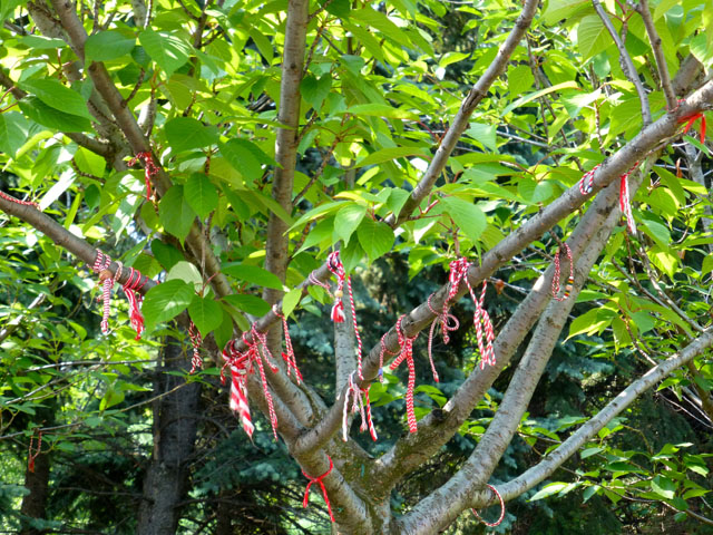 �t��������u���K���A�̕��K