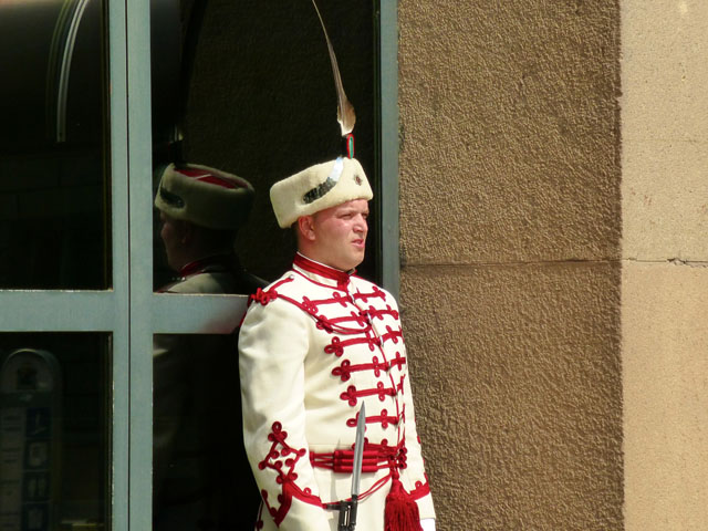 �哝�̕{�̉q��