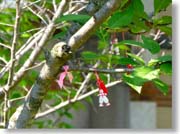 �t��������u���K���A�̕��K