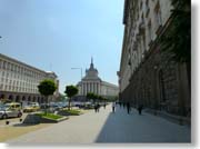 ���ʂɌ�����̂͋����Y�}�{��