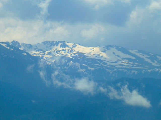 ���B�g�V���R