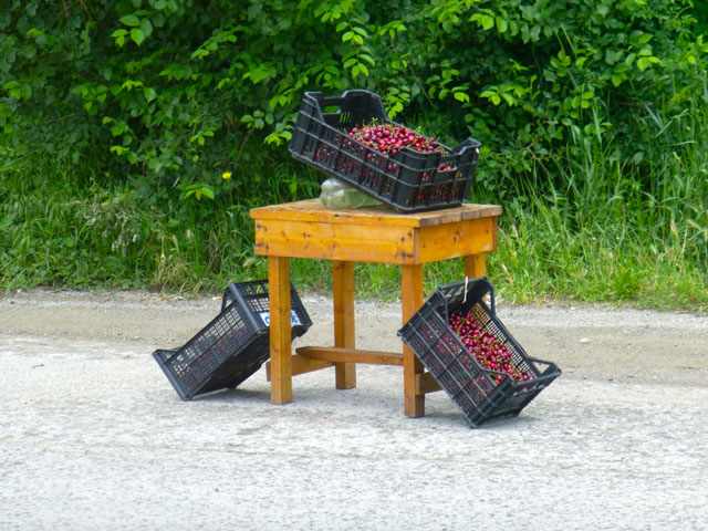 �T�N�����{