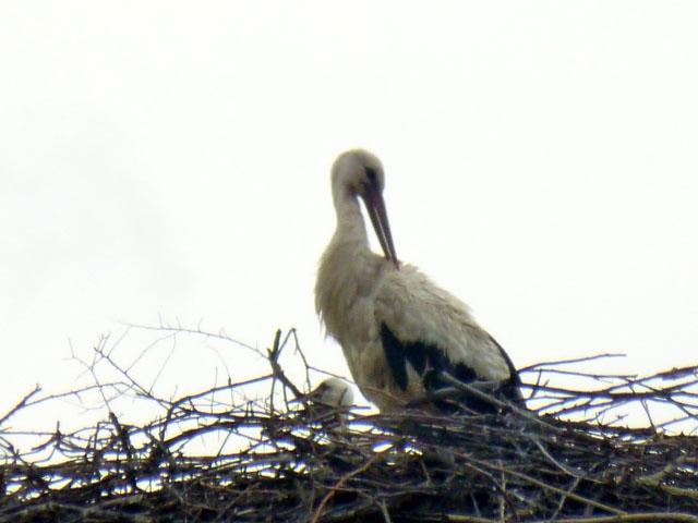 �R�E�m�g��