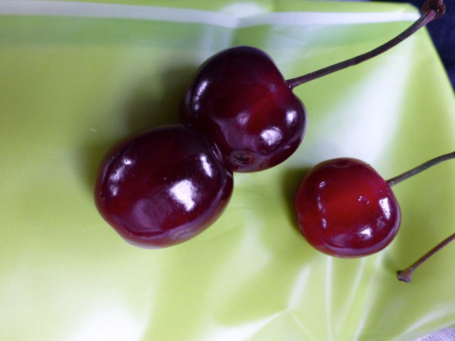 �T�N�����{