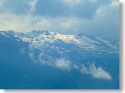 ���B�g�V���R