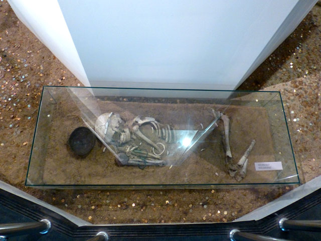 �g���L�A�̕�̈��