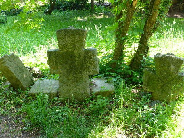 �{���i����̕�n