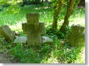 �{���i����̕�n