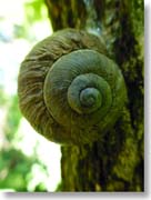 �J�^�c����