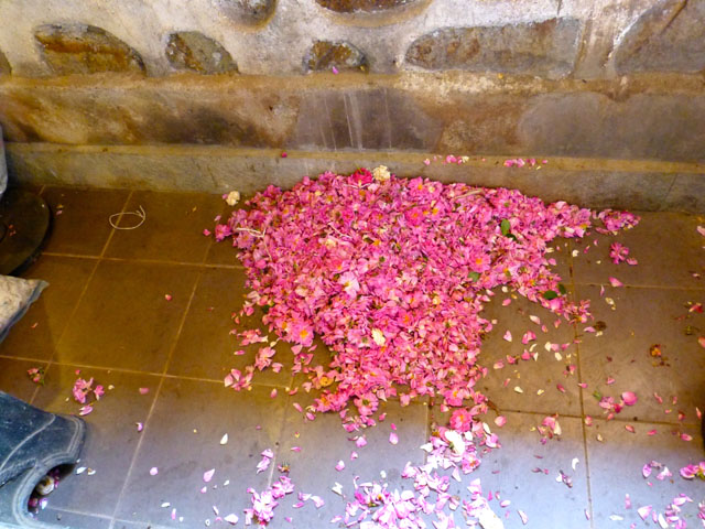 �������̏��ɂ��ڂꂽ�Ԃт�