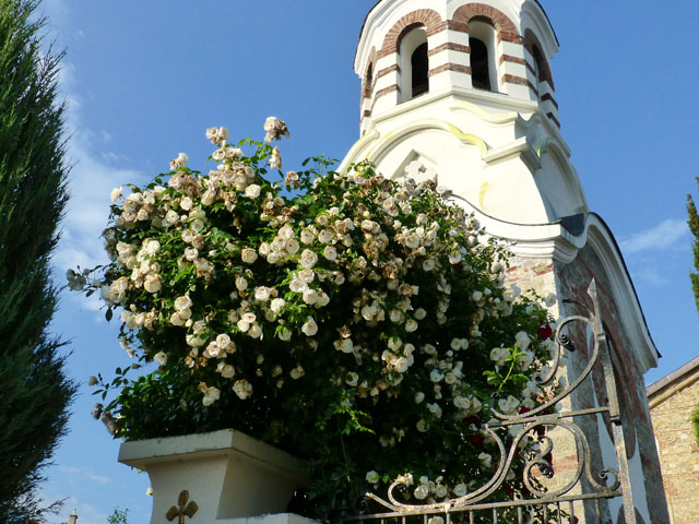 ���C��������