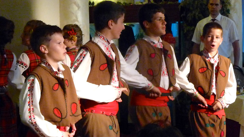 �������x�̗l�q