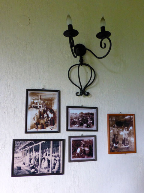 �Z�s�A�F�̎ʐ^