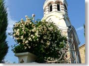 ���C��������