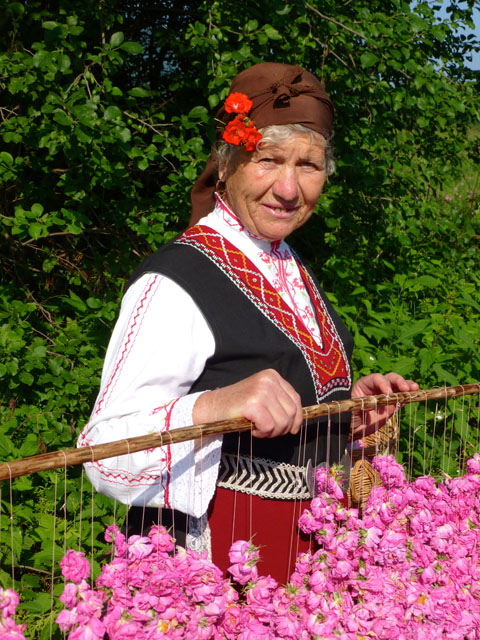 �����������Ă��ꂽ���΂���