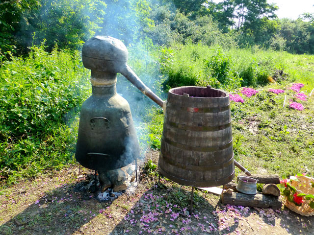 �o���̏������u