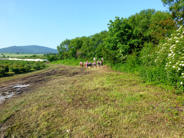 �������ɏ�������