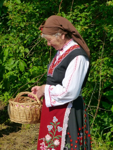 �G�v���������������̂��΂�����