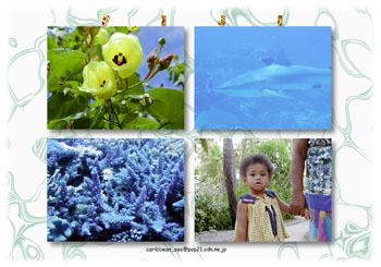 �|�X�g�J�[�h�P(34.5kb)