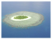 �󂩂�̒��߁i���F�}�i���ł͂���܂���B�j(9.4kb)