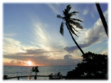 �T���Z�b�g�r�[�`�̗[���i�}�i���j(13.0kb)