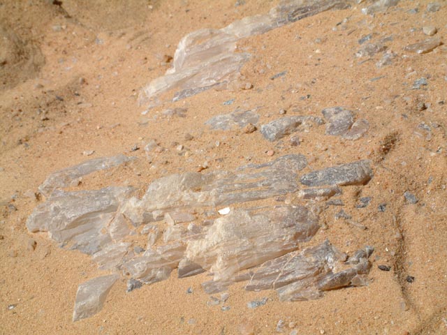 ��n�ɘI�o��������