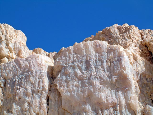 �����̊�Ɛ�