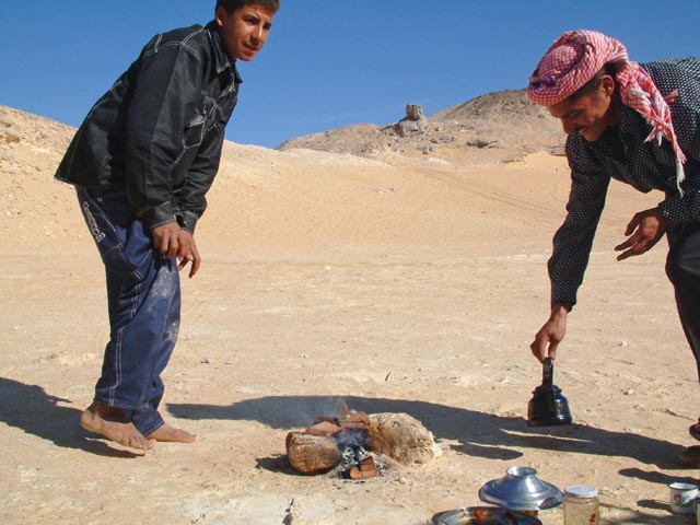 �~���g�e�B�[������Ă���Ă���^�]��Ɖ�