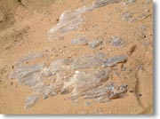 ��n�ɘI�o��������