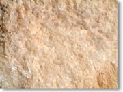 �����̃N���[�Y�A�b�v