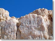 �����̊�Ɛ�