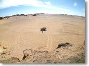 �L��ȃN���X�^���E�}�E���e���̒����ɂۂ�Ǝ~�܂��Ă���W�[�v