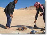 �~���g�e�B�[������Ă���Ă���^�]��Ɖ�