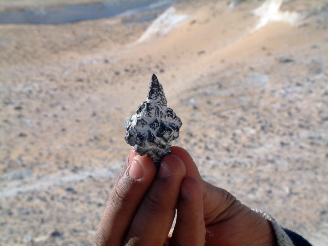 ��ɂƂ��Ă݂��Ƃ���