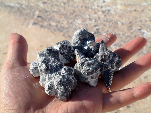 ��̂Ђ�ɂ̂��Ă݂��Ƃ���