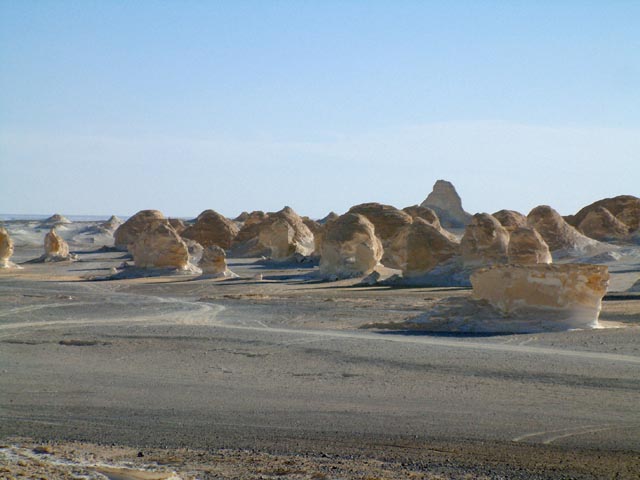 �ς�����`�̊₪��������A�Ȃ��Ă��镗�i