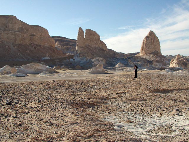 ����Ȋ₪��ɓ˂��o���Ă���l�q