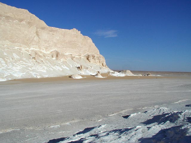 ������̂悤�Ɍ�����ΊD��