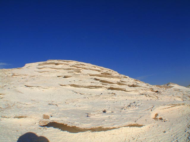 �����ΊD�₪�܂�d�Ȃ��Ă���