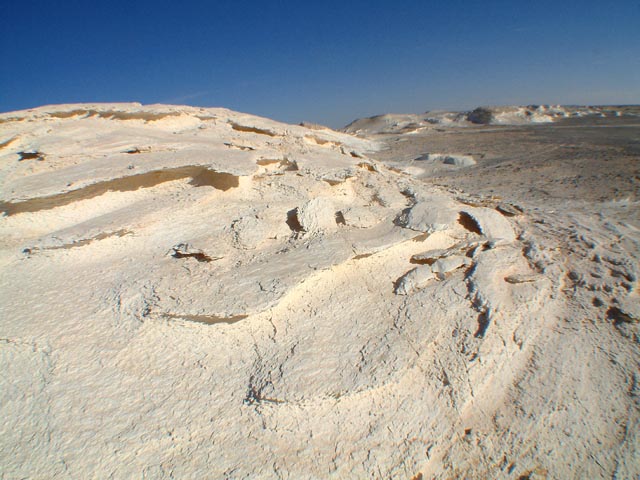 �܂�d�Ȃ����ΊD��͂��낭�č��ɂ���ꂻ��