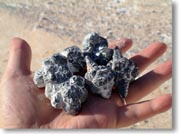 �����̕ς�����΂���̂Ђ�ɂ̂��Ă݂��Ƃ���