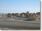 �ς�����`�̊₪��������A�Ȃ��Ă��镗�i