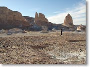 ����Ȋ₪��ɓ˂��o���Ă���l�q