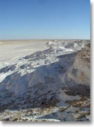 �ΊD�₪�܂�Őς�������̂悤�Ɍ�����