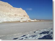 ������̂悤�Ɍ�����ΊD��