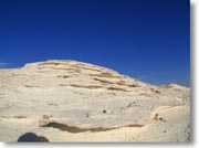 �����ΊD�₪�܂�d�Ȃ��Ă���